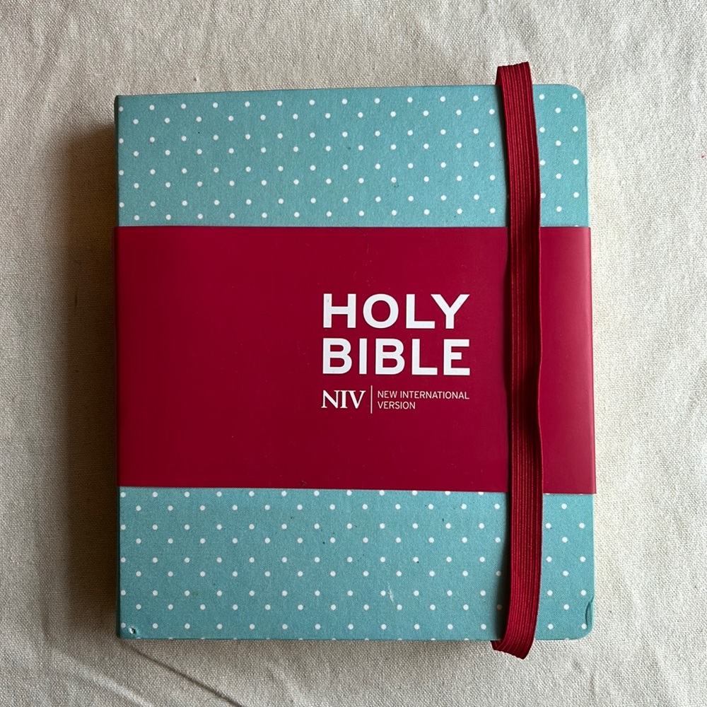 NWT Journaling Holy Bible - NIV